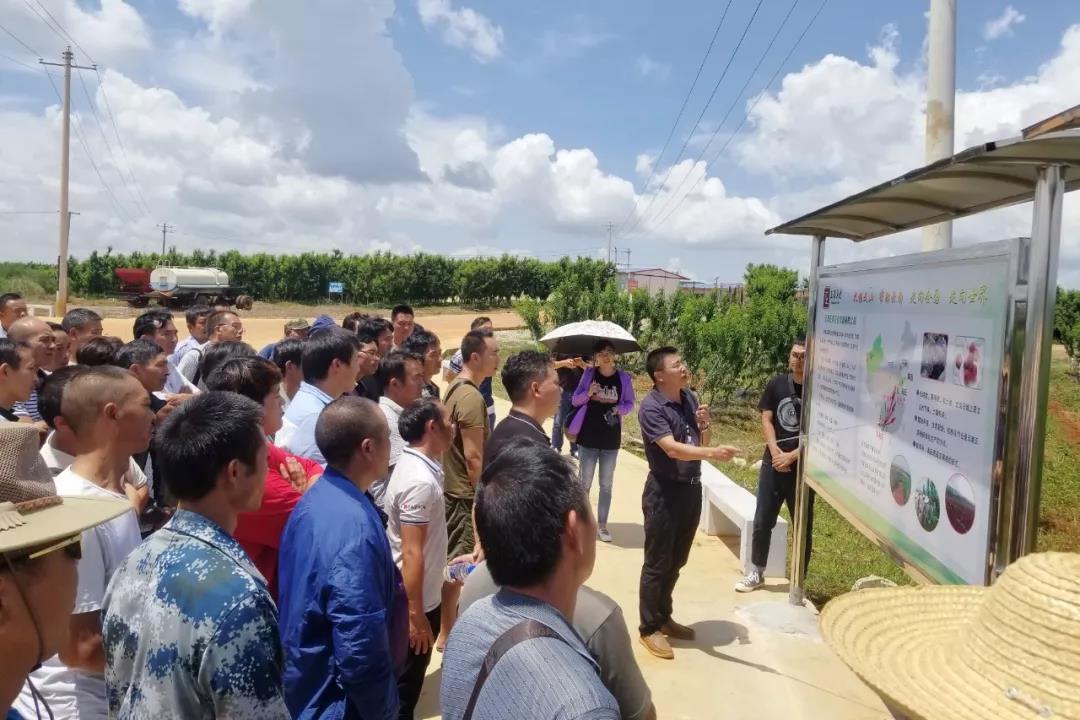 首页- 尊龙集团中国官方网站